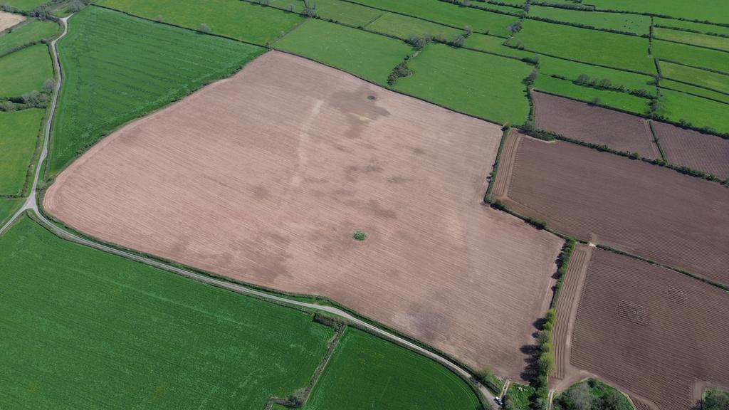 The Land