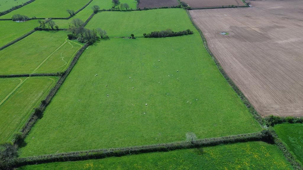 Pasture Land