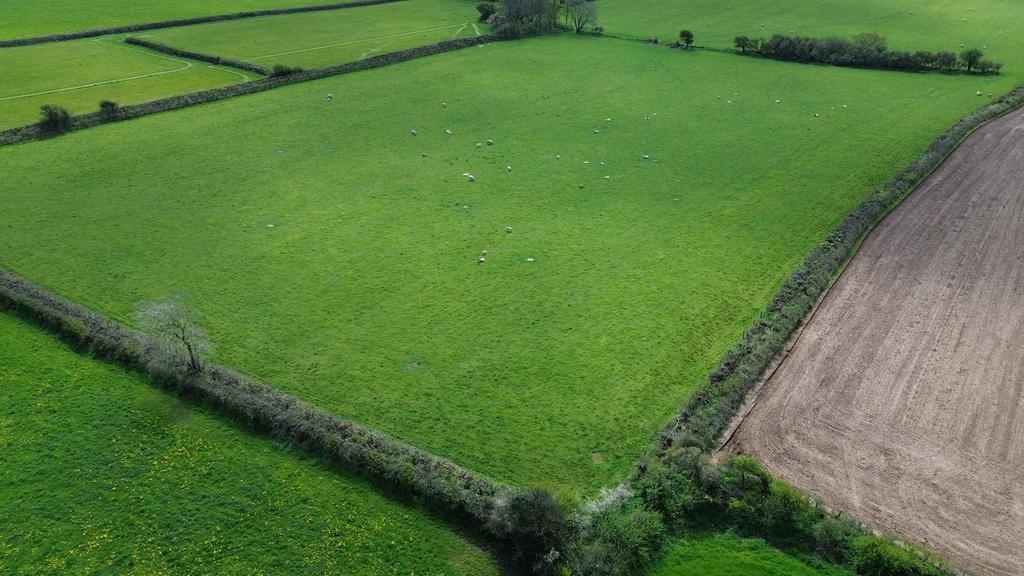 Pasture Land