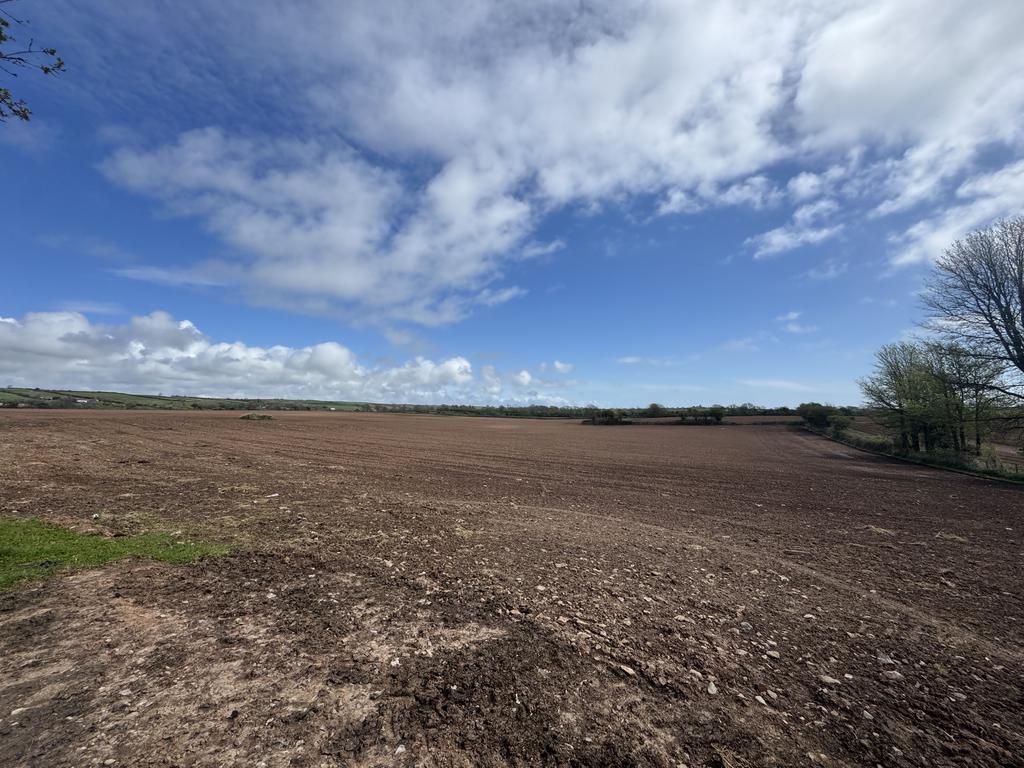 Arable Land