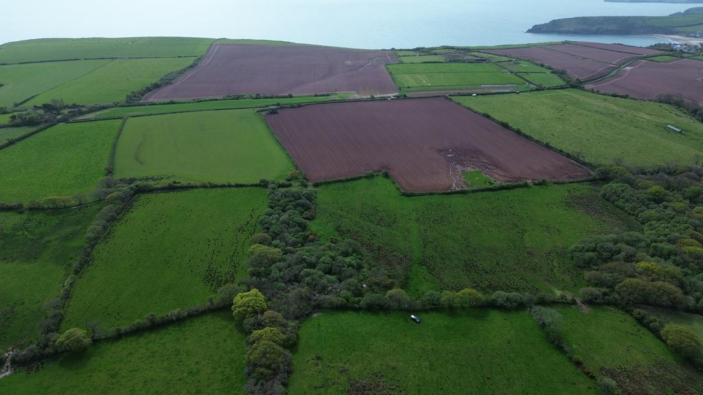 The Land