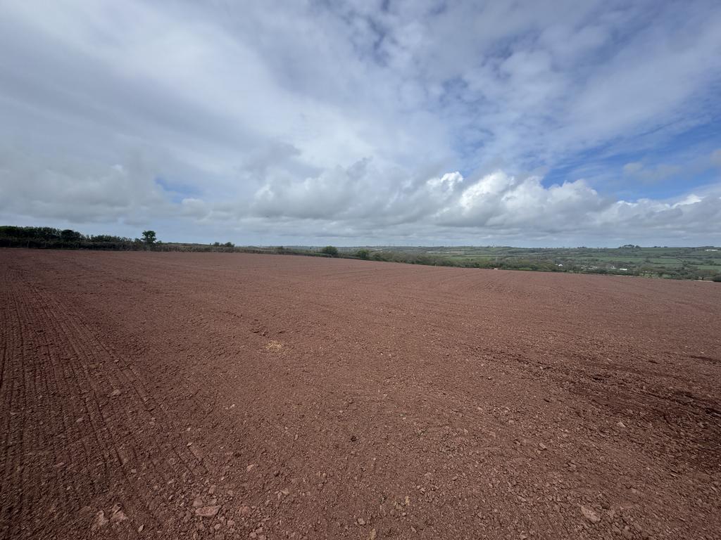The Land