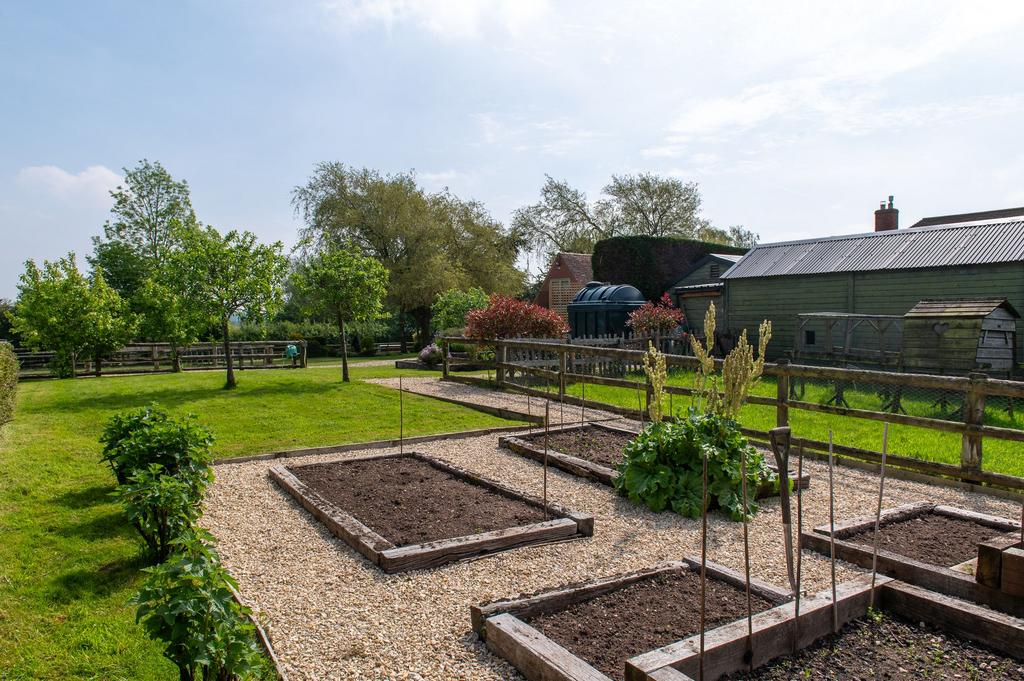 Vegetable patch