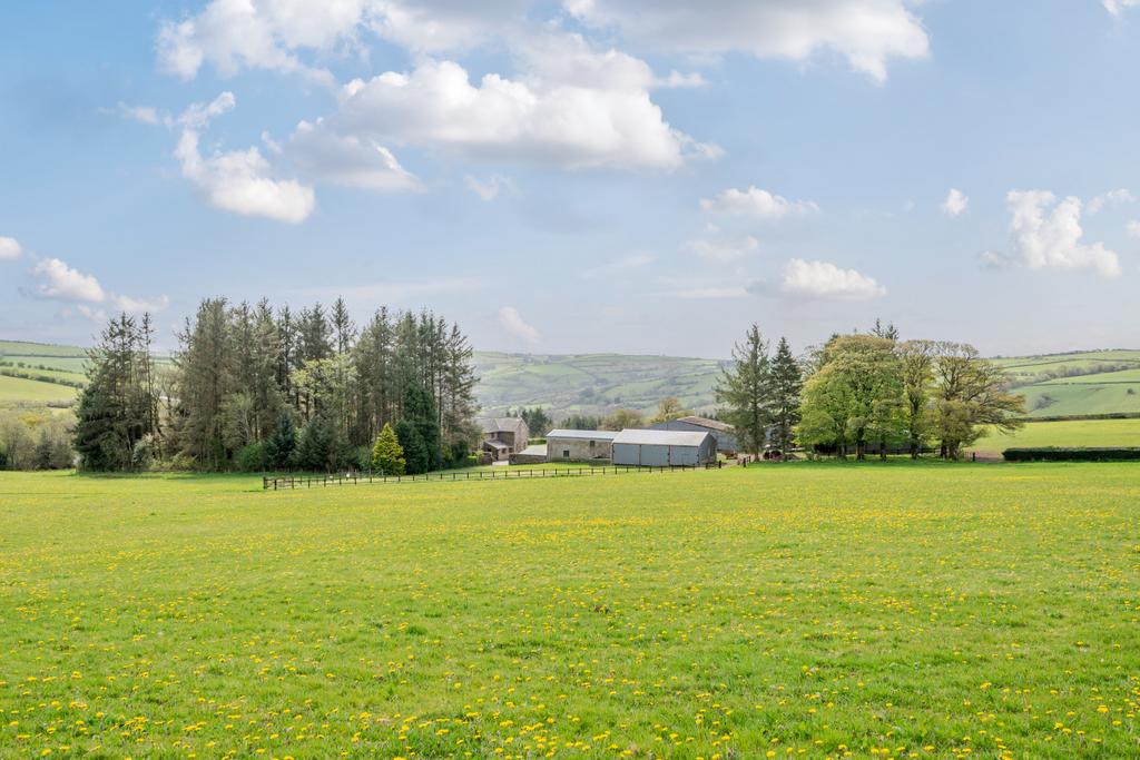 Exceptional Smallholding Property