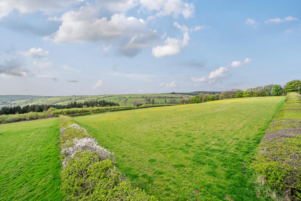 Exceptional Smallholding Property