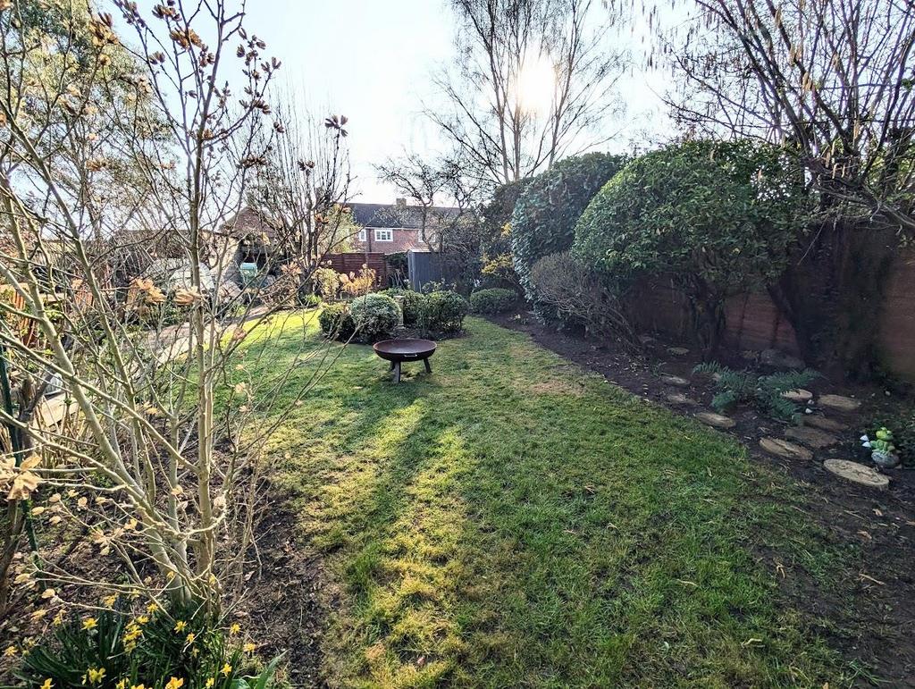 Garden view, garden