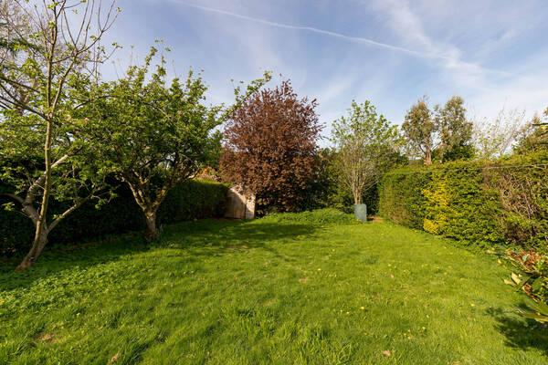 Back garden