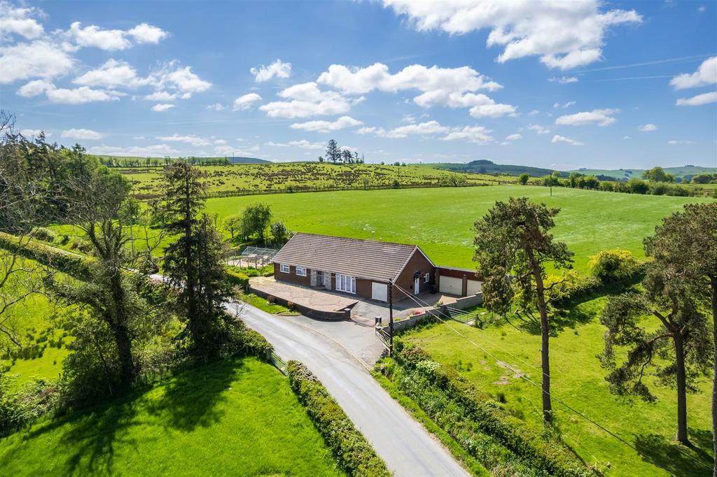 DJI 0278.jpg