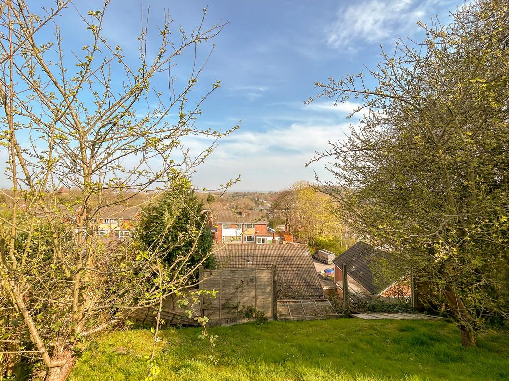 Garden - view