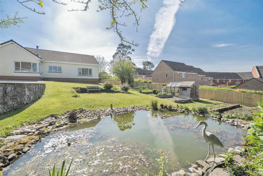 Pond/Garden