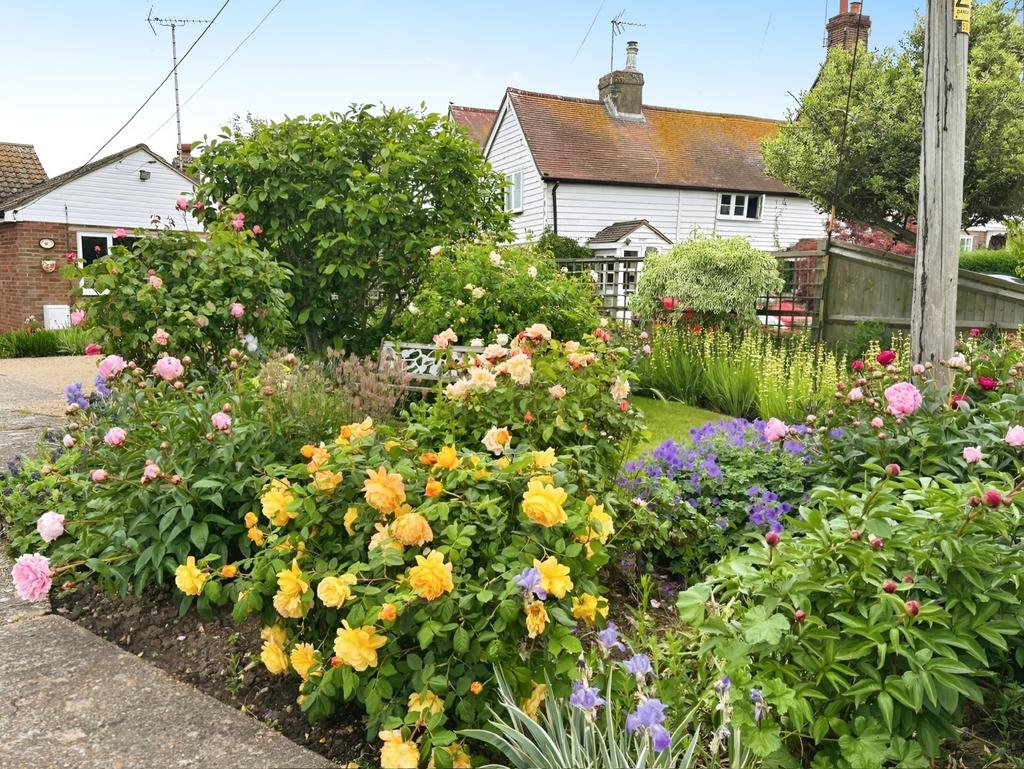 Front Garden