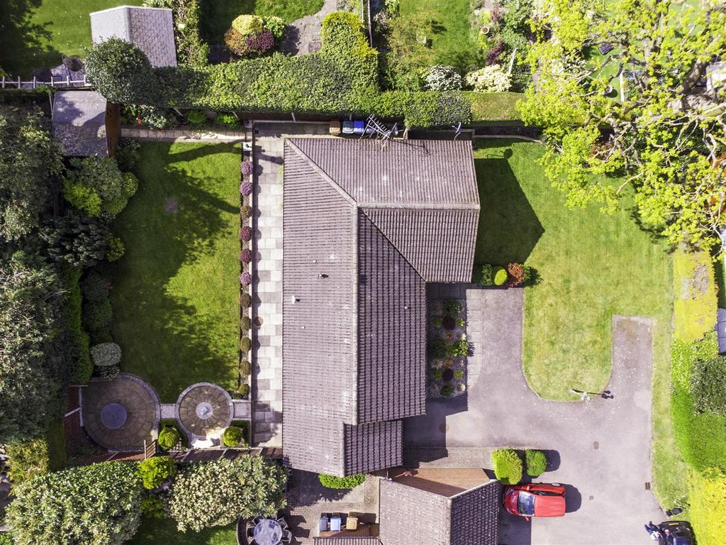 DJI 0752.jpg
