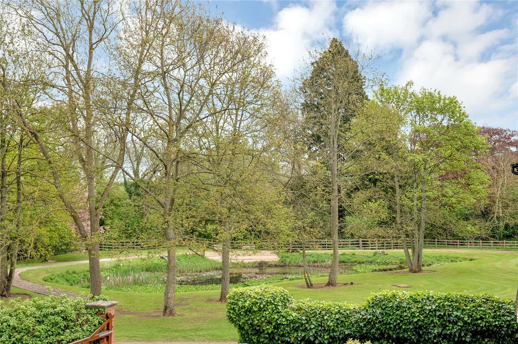 Grounds