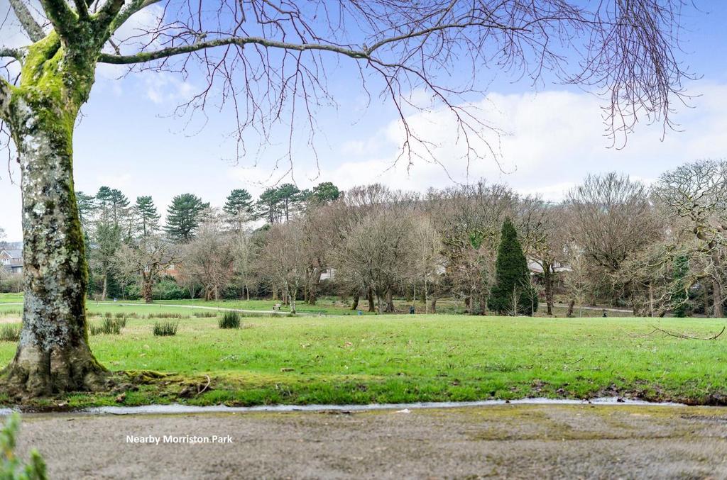 Morriston Park - Copy.jpg