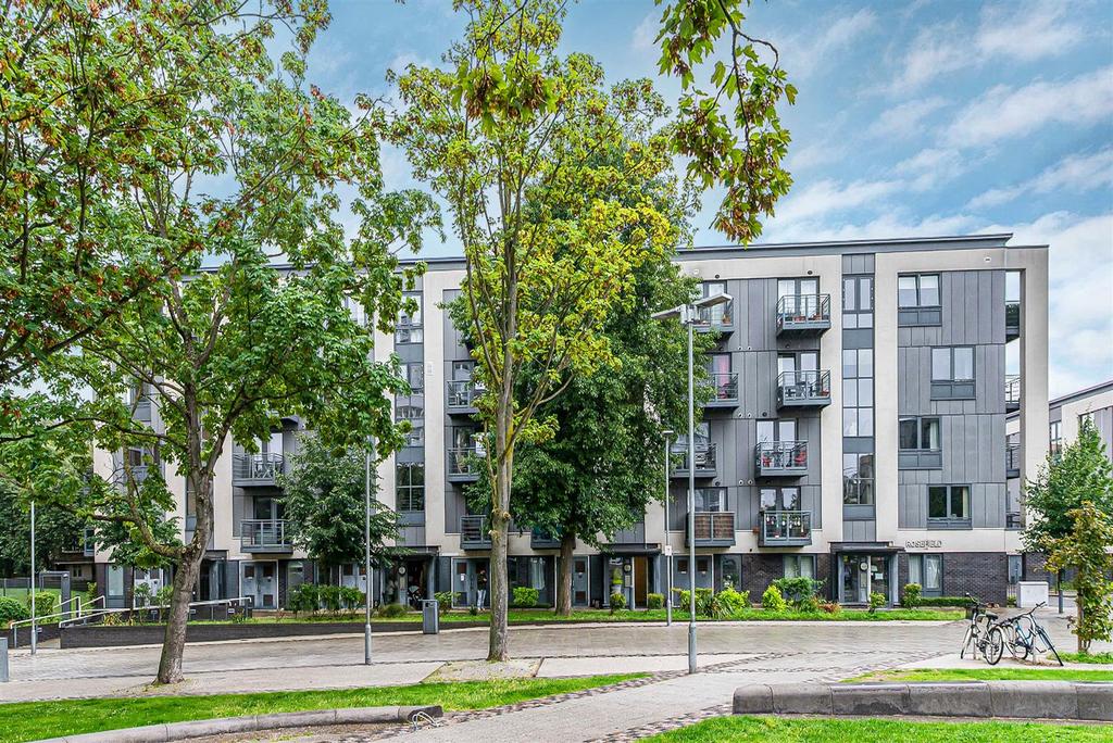 41 Rosefield-2.jpg