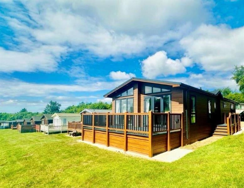 Percy Wood - Oakgrove-Tamarack-239995