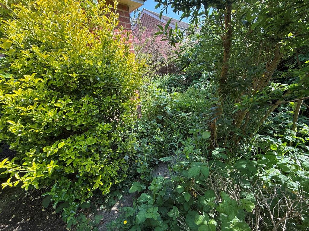 GARDEN2.jpg