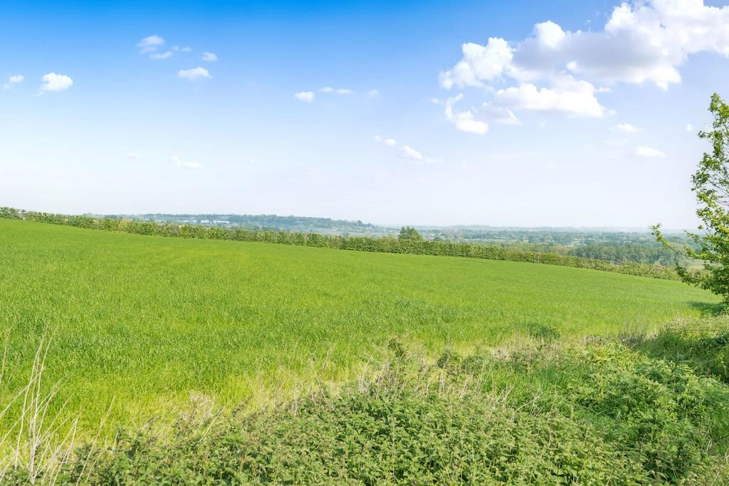 4-6814dace1832f-1285188-ARW-4.jpg