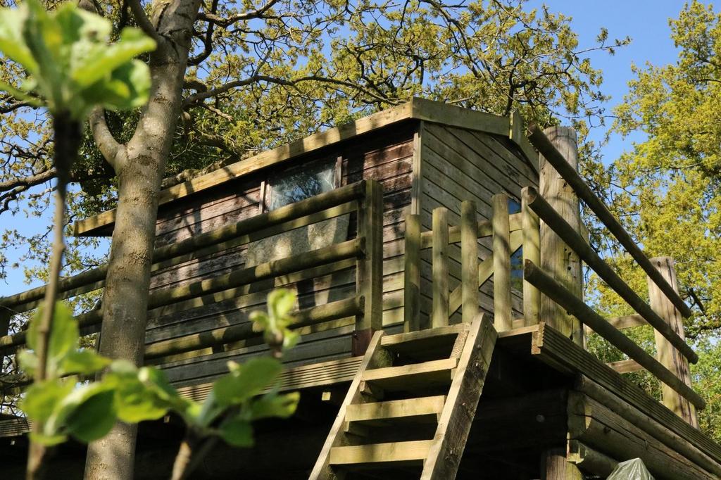 Treehouse.jpg