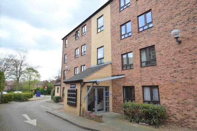 1 Bed Apartment