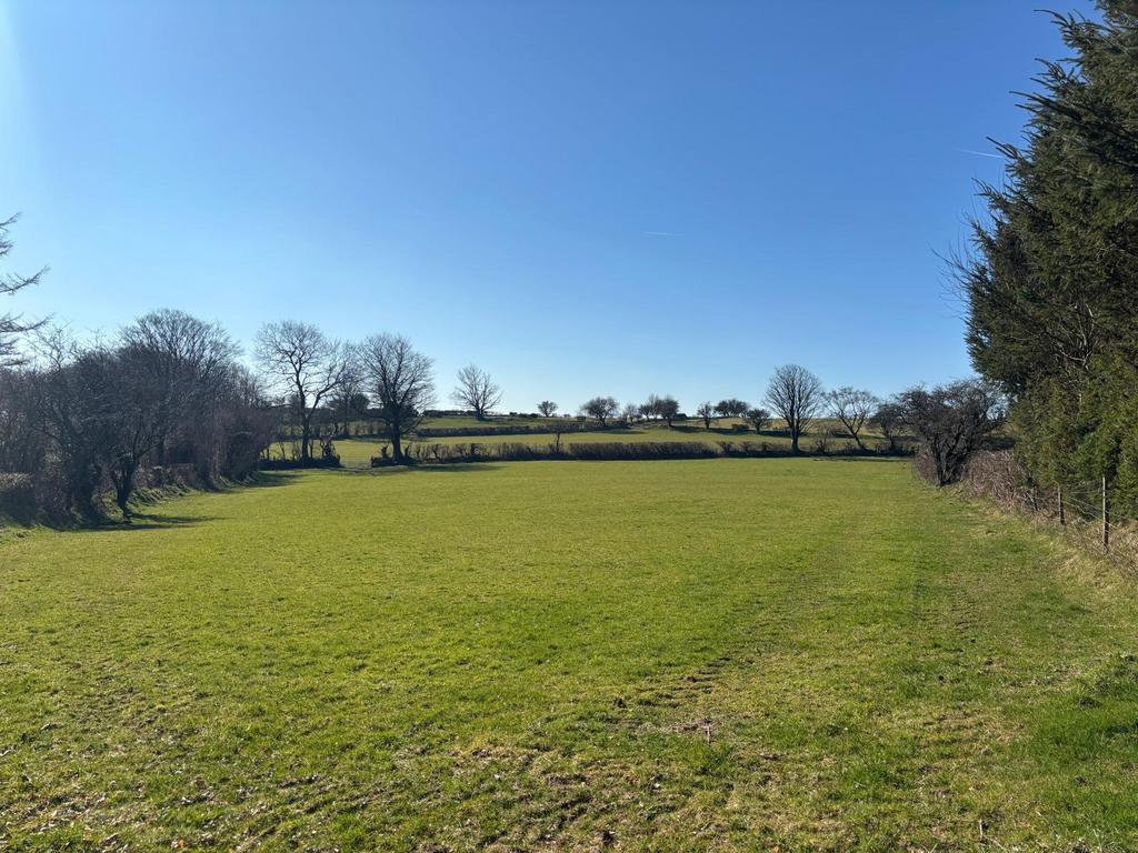 Land (fourth image)