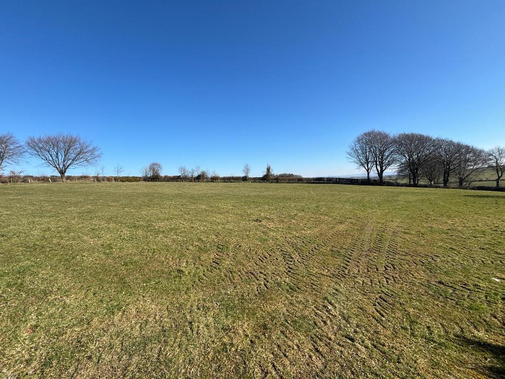 Land (fifth image)