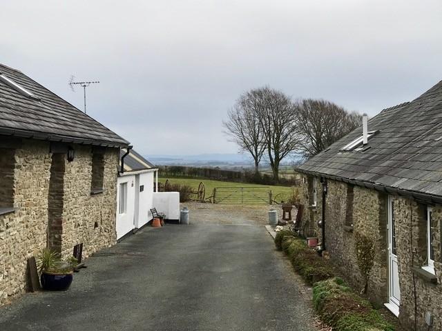 Parking and driveway