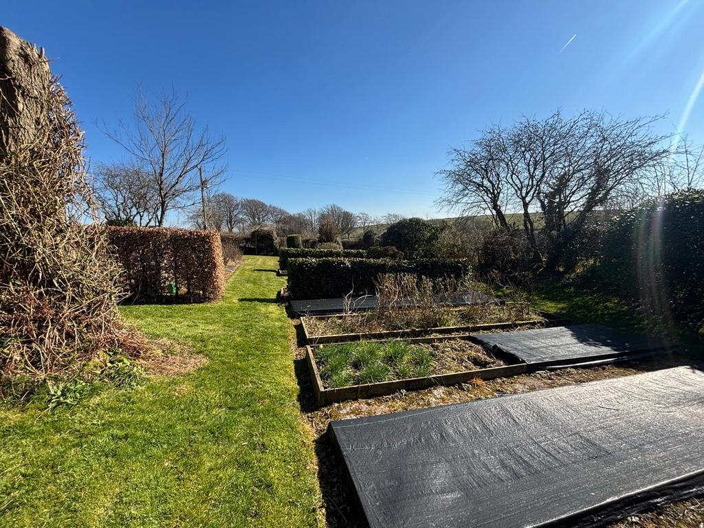 Garden (second image)