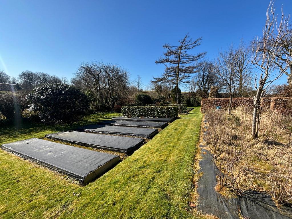 Garden (fourth image)
