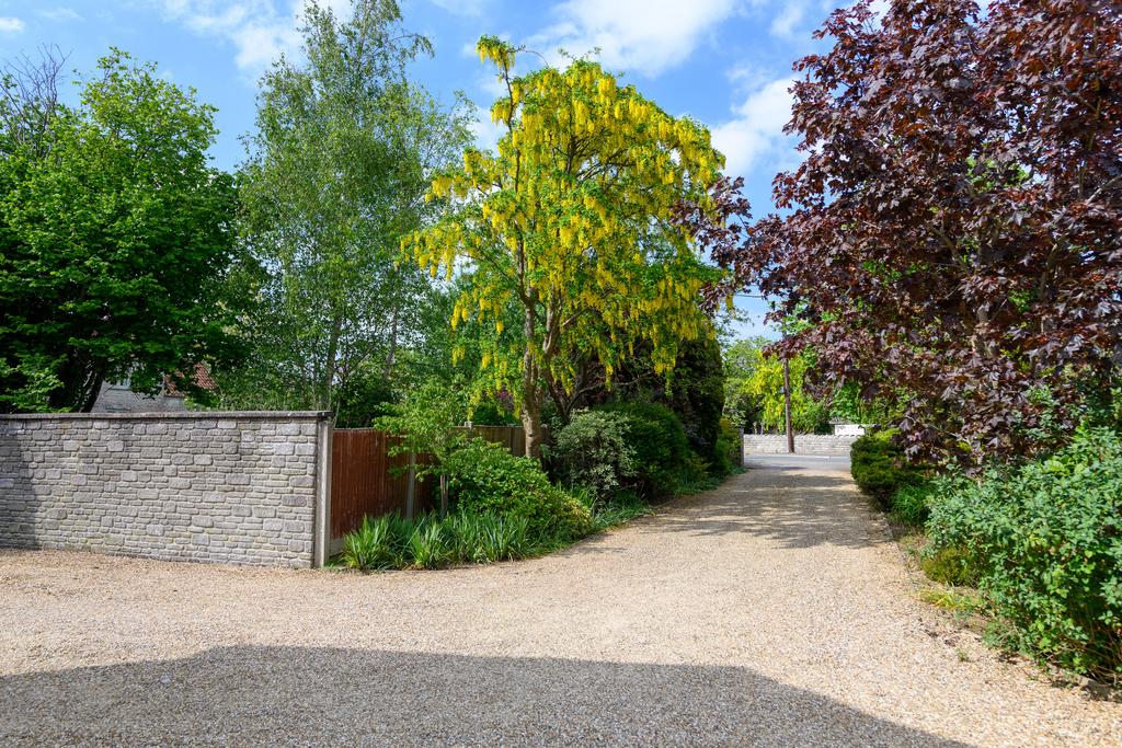 Driveway