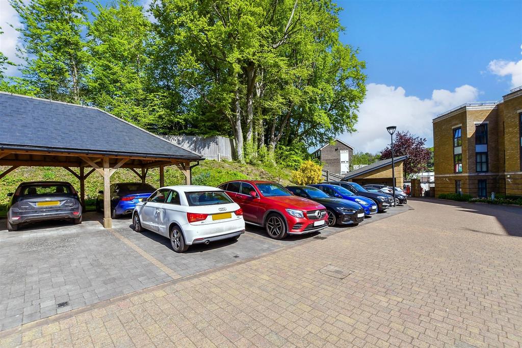 Driveway/Parking