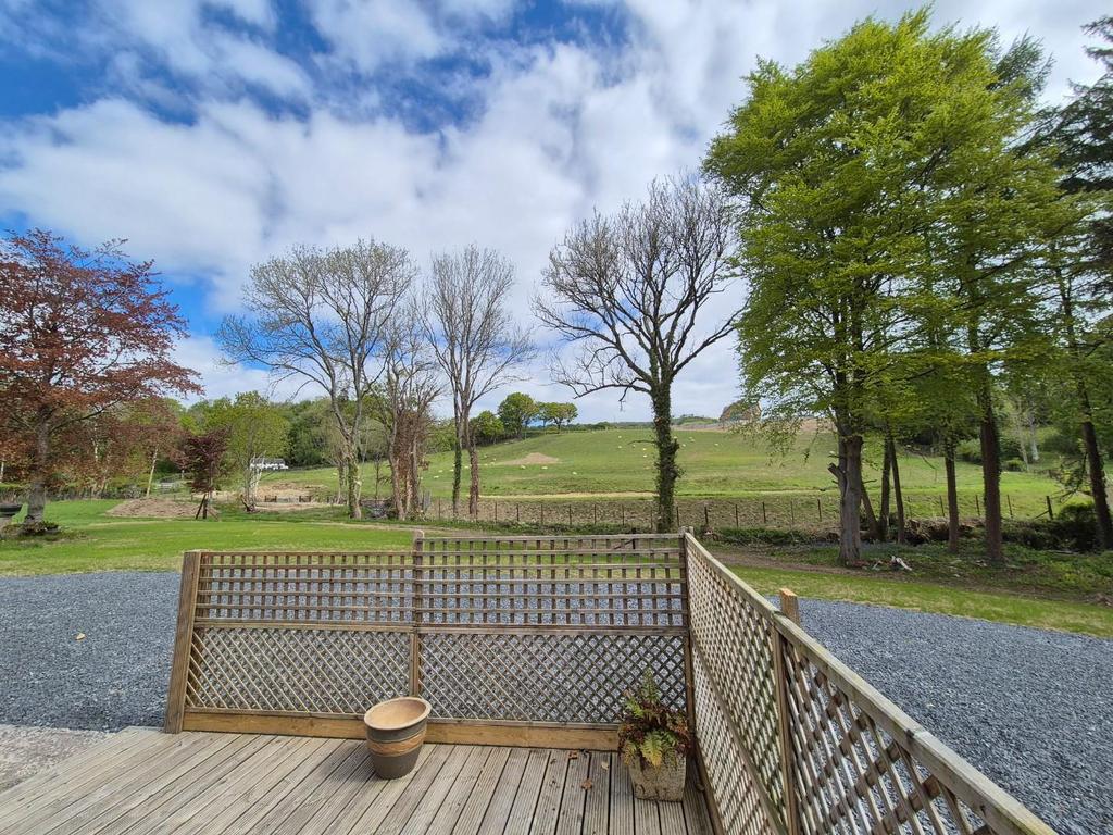 Rear Decking.jpg