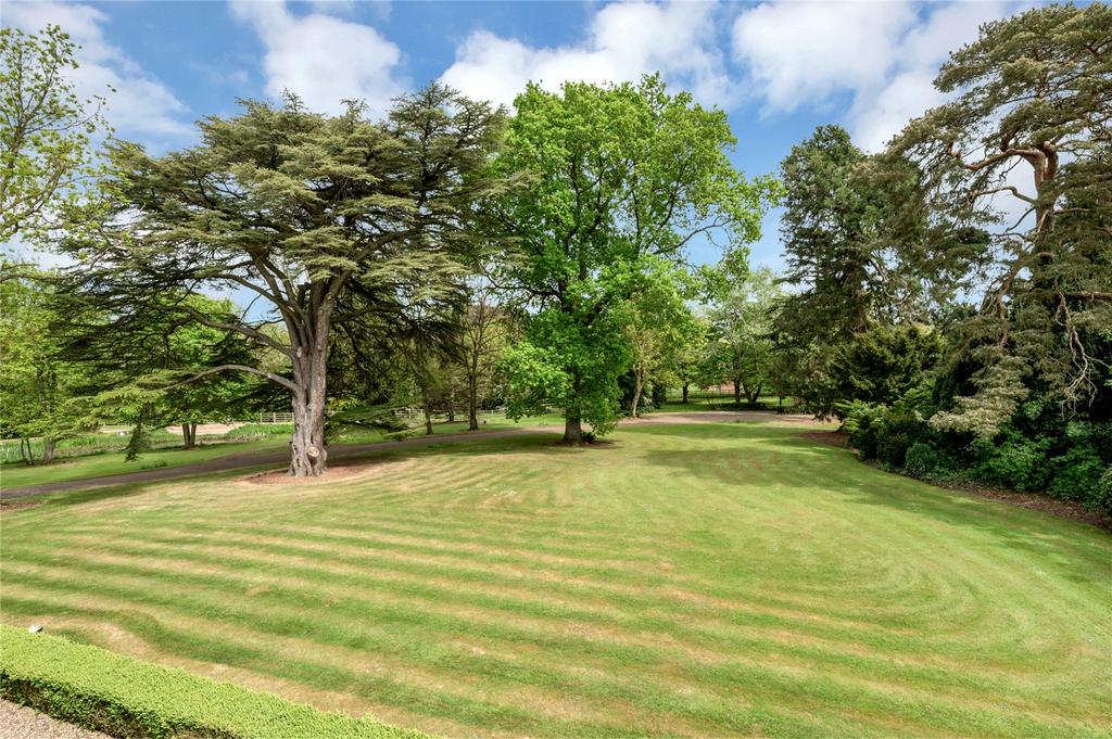 Grounds