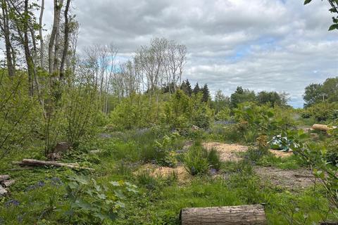 undefined, Chestnut Wood, Udimore Road, Broad Oak