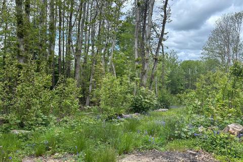 undefined, Chestnut Wood, Udimore Road, Broad Oak