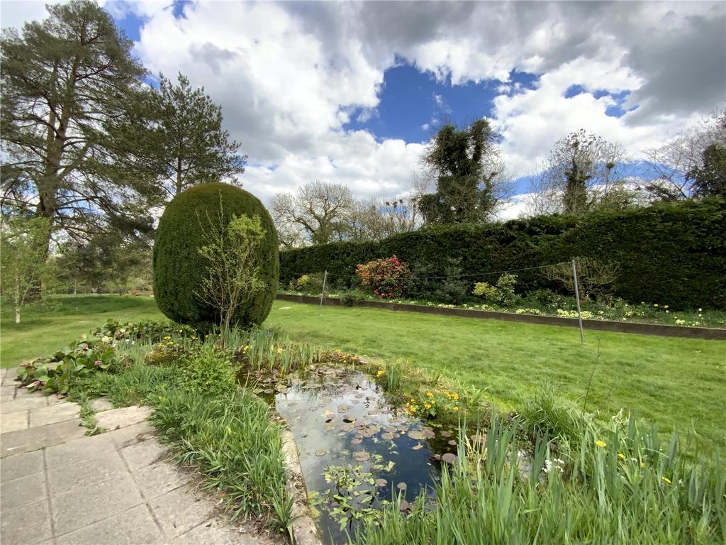 Pond