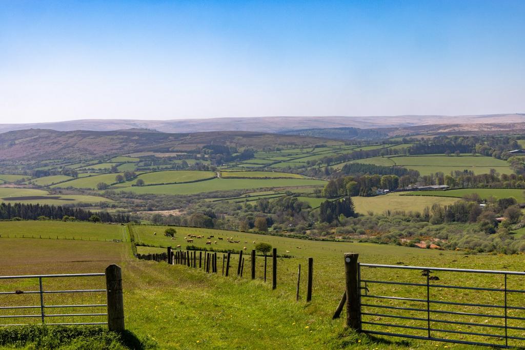 Land