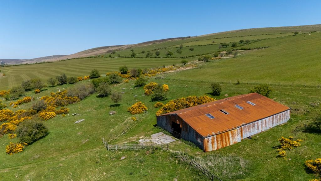 Land and Building