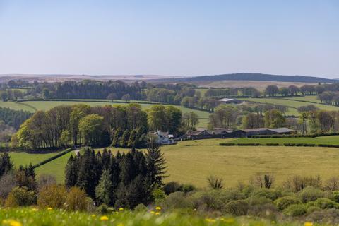 undefined, Widecombe-in-the-Moor, Newton Abbot, Devon, TQ13