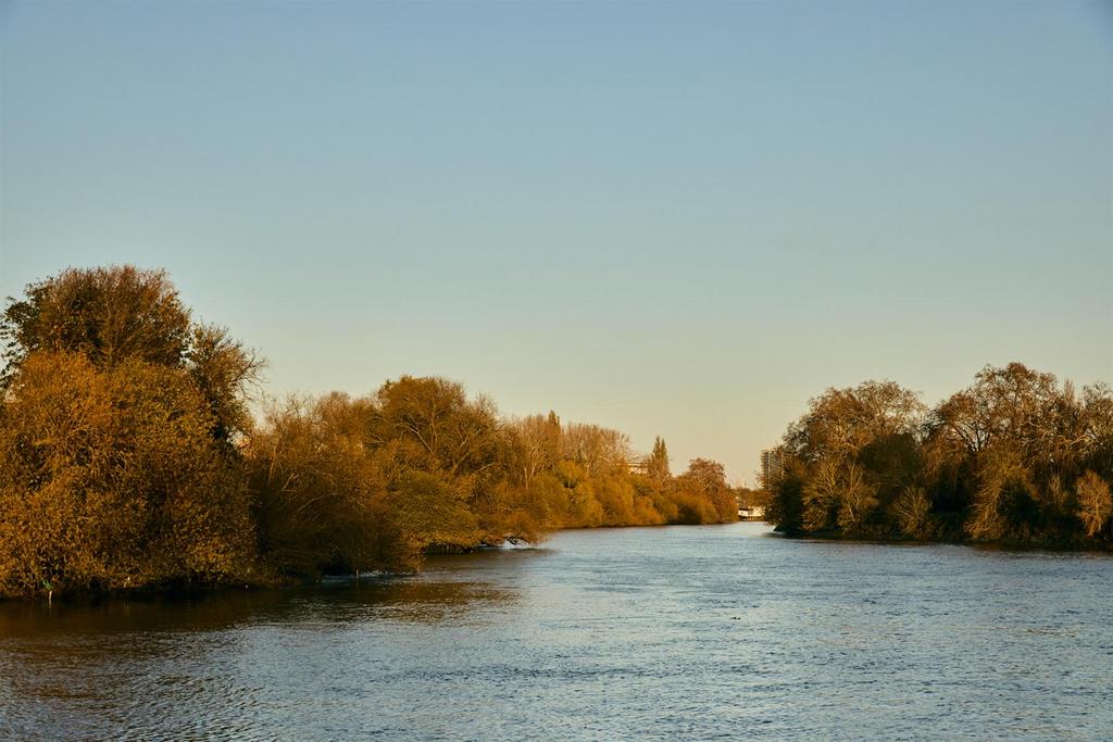 2 V1 A5326.jpg