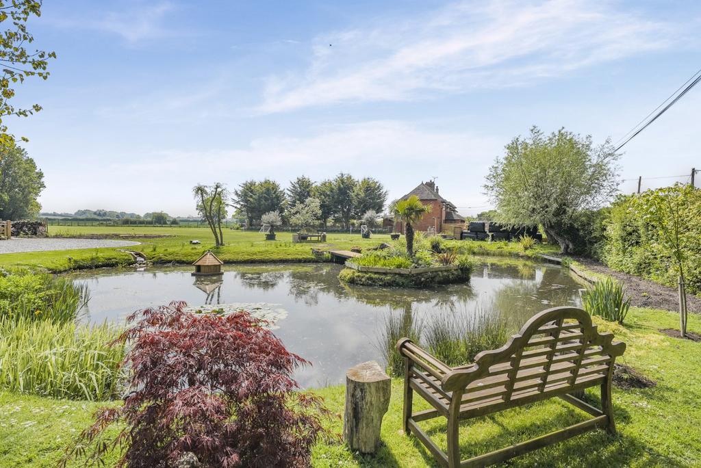 Wildlife Pond
