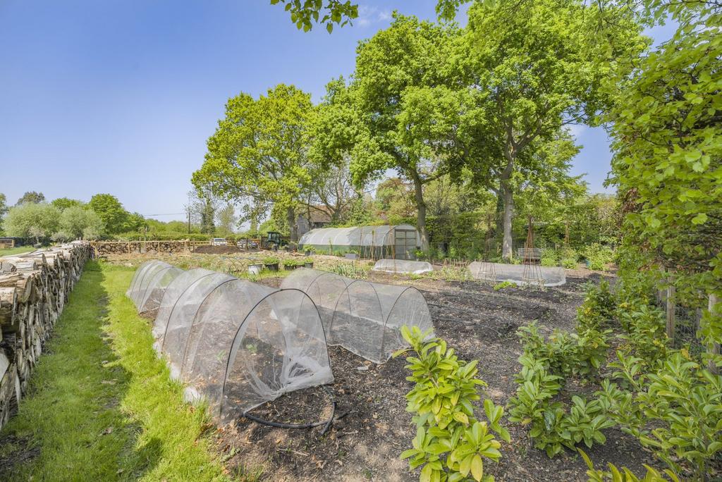 Grounds