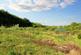 Additional image 30 of The Haggard, Kingswood, Pembroke Dock