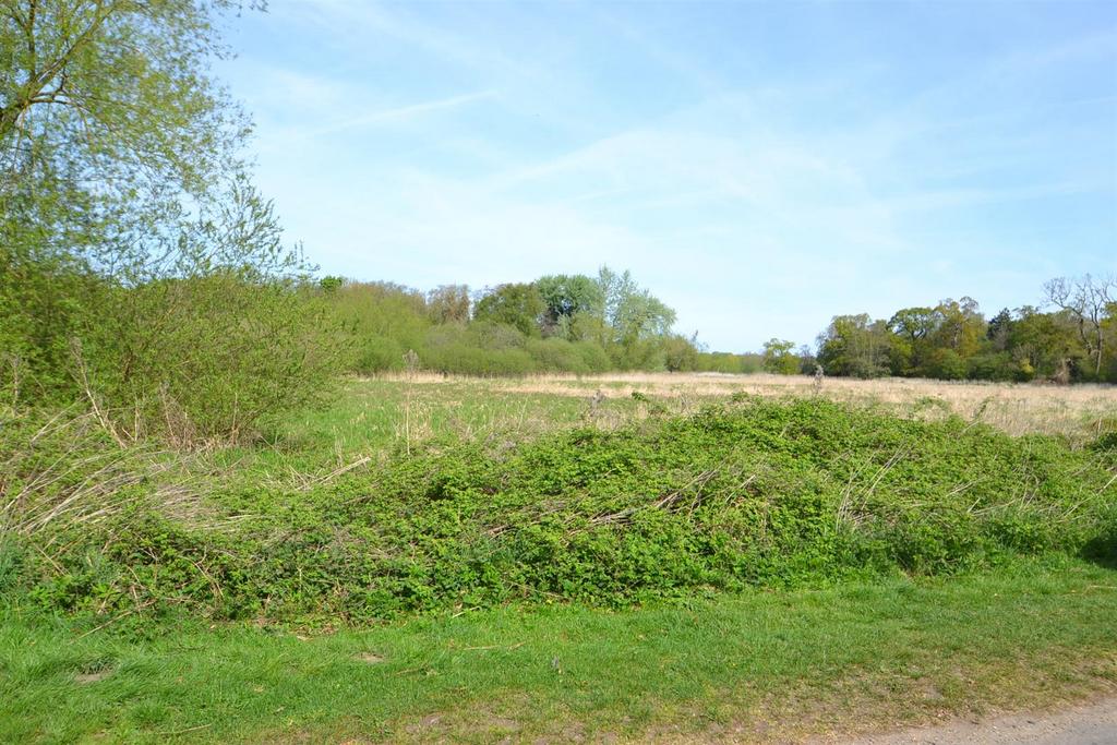 Dsc 0674.jpg