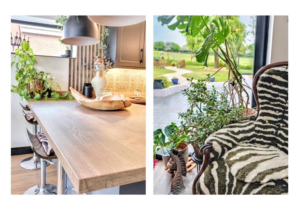 Living family dining kitchen