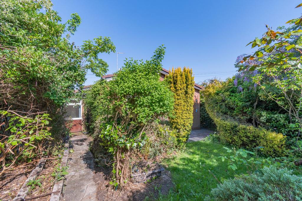 Garden to raer