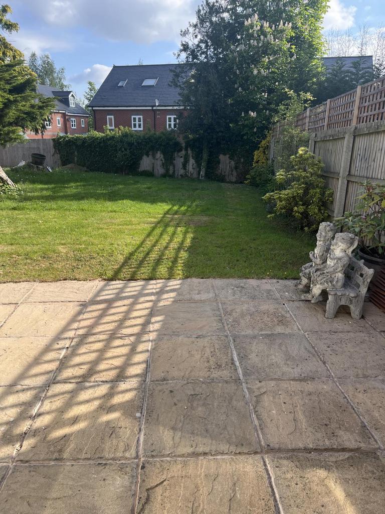 Back garden