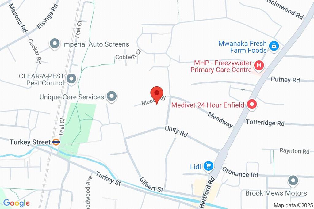 Google Maps Image
