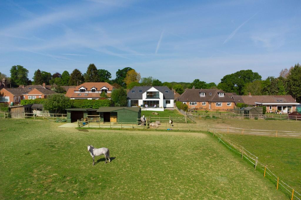 The Paddocks