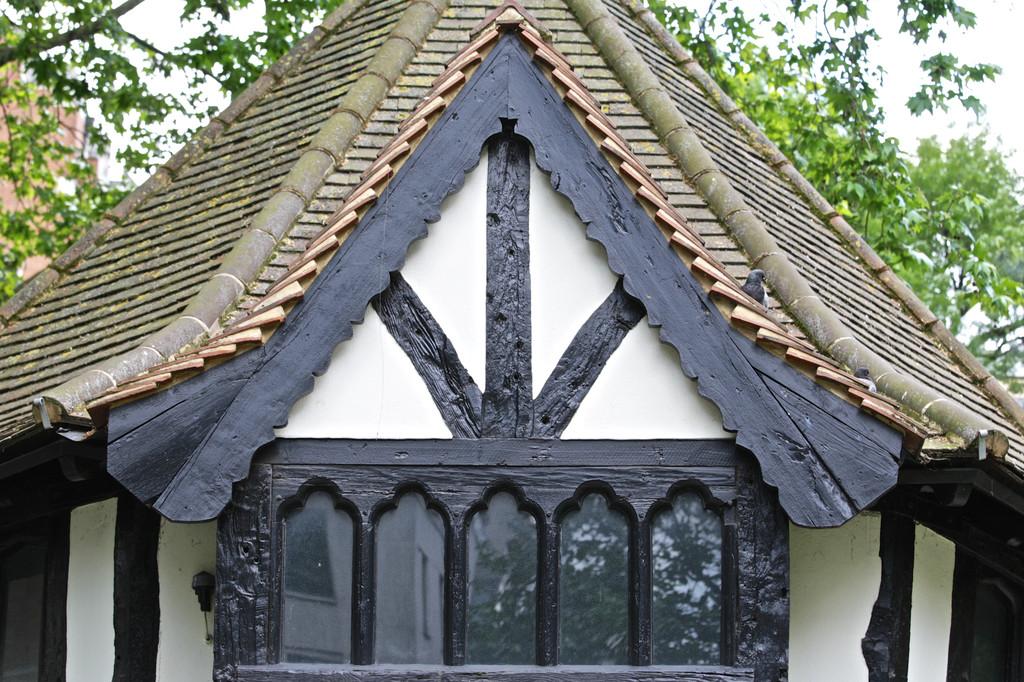 Tavistock Bow-70 (1)
